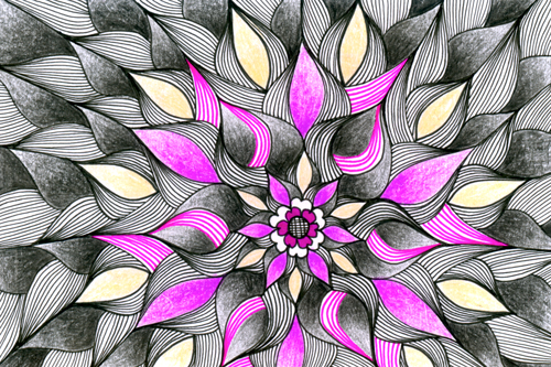 Zana-Bass_Feb_2014_Black-&-Pink-Flower