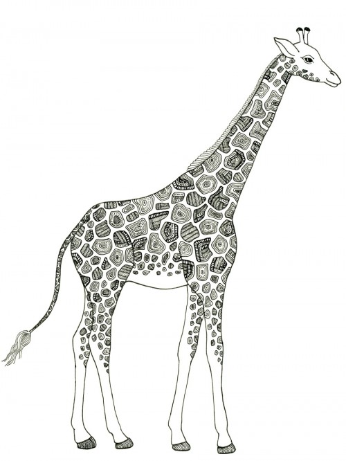 Zana Bass_Giraffe November 2014
