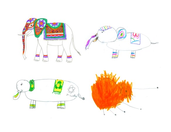 Family of Elephants_Zana