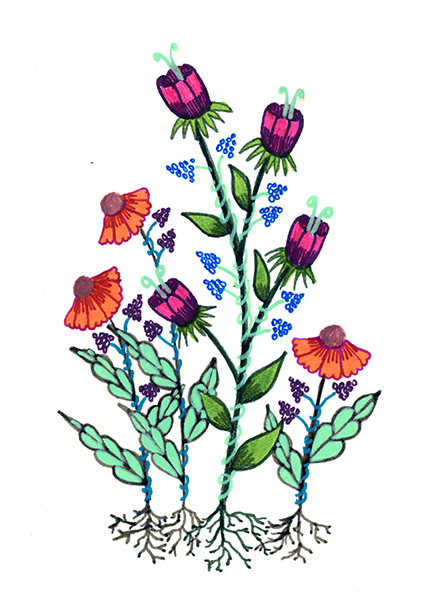 Zana Bass-May 2017 Flowers 28 3