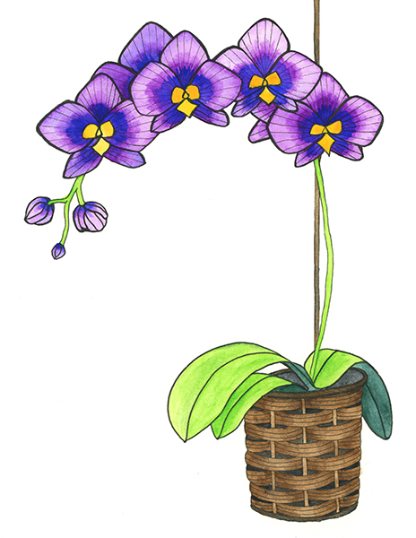 Zana Bass_May 2016 Flowers Day 10 WEB