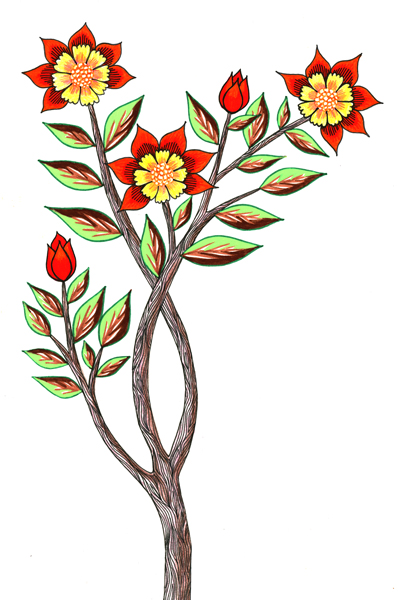 Zana-Bass-January-2019-12-Version-2