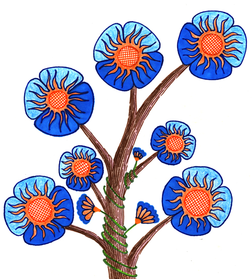 Zana-Bass-January-2019-6