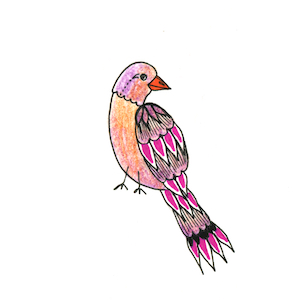 Zana Bass January 2019 Little Bird 4 copy