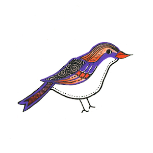 Zana Bass January 2019 Little Bird 5 copy